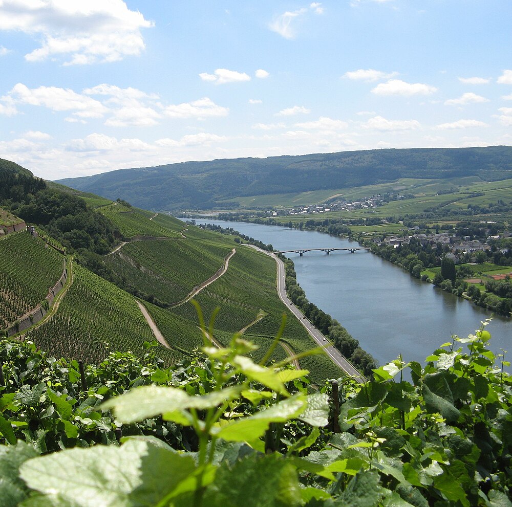 Moselle